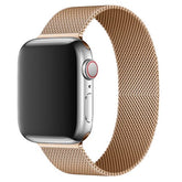Milano Pro Magnetic Mesh Apple Watch Band S1-42/44/45/46/49MM