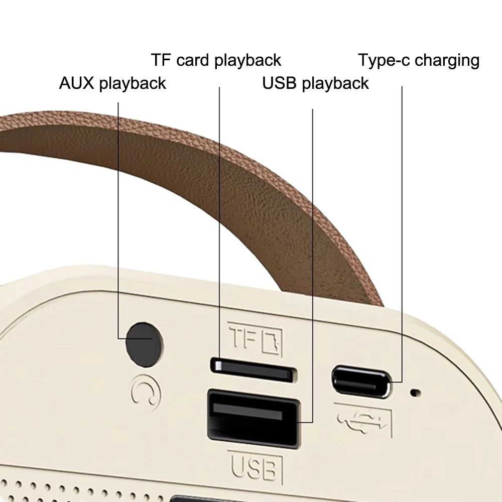 K12 DUAL MICROPHONE WITH SPEAKER